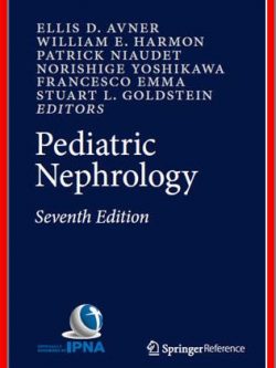 Pediatric Nephrology 7th Edition Ellis D. Avner, ISBN-13: 978-3662435977