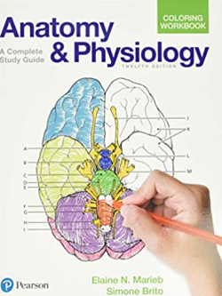 Anatomy and Physiology Coloring Workbook: A Complete Study Guide 12th Edition, ISBN-13: 978-0134459363