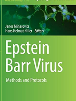 Epstein Barr Virus: Methods and Protocols by Janos Minarovits, ISBN-13: 978-1493966530