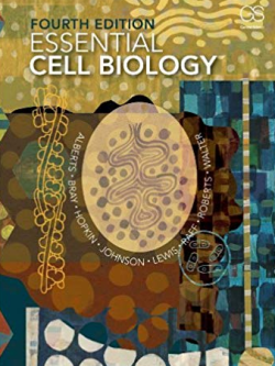 Essential Cell Biology 4th Edition by Bruce Alberts, ISBN-13: 978-0815344544