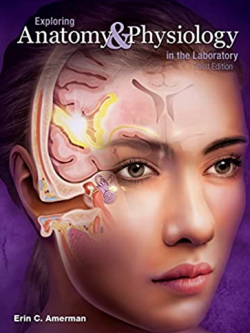 Exploring Anatomy and Physiology in the Laboratory 3rd Edition by Erin Amerman, ISBN-13: 978-1617316203