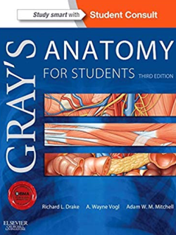 Gray’s Anatomy For Students 3rd Edition by Richard Drake, ISBN-13: 978-0702051319