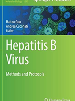Hepatitis B Virus: Methods and Protocols by Haitao Guo, ISBN-13: 978-1493966981