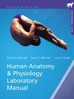 Human Anatomy & Physiology: Cat Version 11th Edition, ISBN-13: 978-0321822192