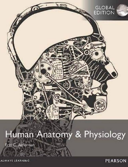 Human Anatomy & Physiology Global Edition Erin C. Amerman, ISBN-13: 978-0805382952