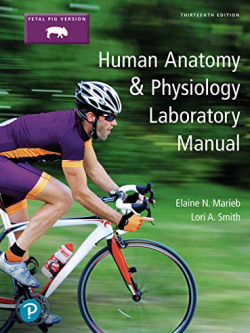 Human Anatomy & Physiology Laboratory Manual 13th Edition Elaine Marieb, ISBN-13: 978-0134806365